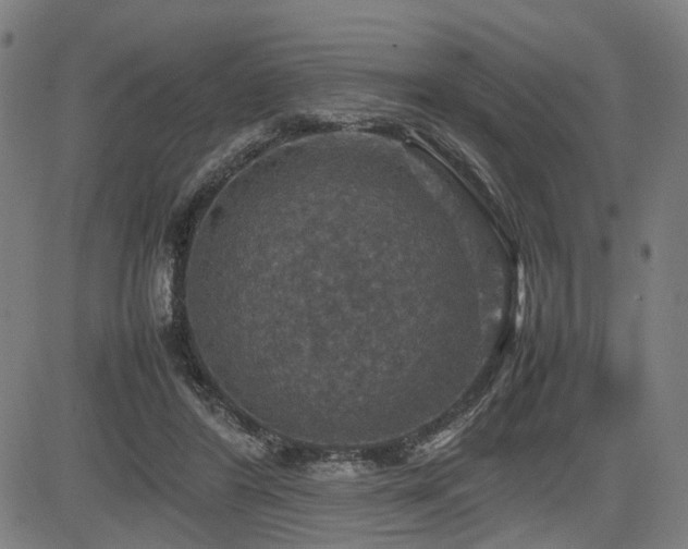 X0000085270404200703091357