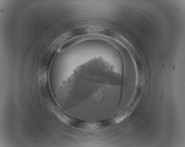 X0000085270405200703091357