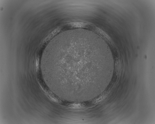 X0000085270406200703091357