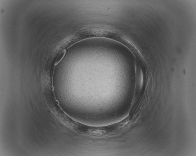 X0000085270407200703091357