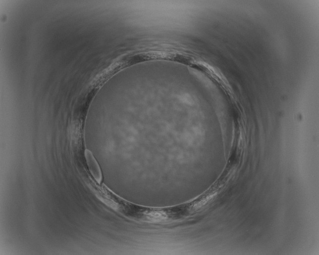 X0000085270409200703091357