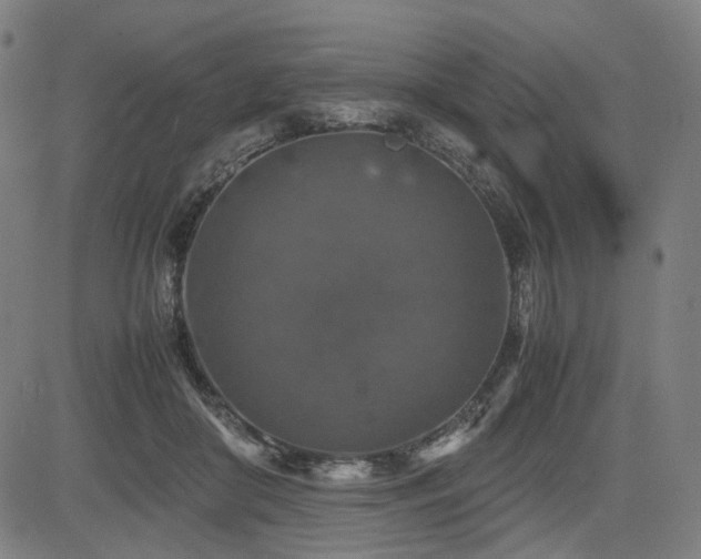 X0000085270410200703091357