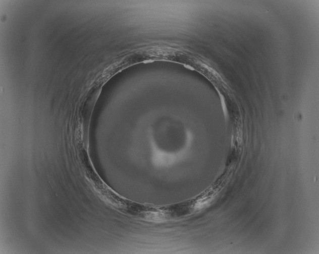 X0000085270411200703091357