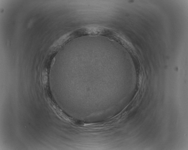 X0000085270413200703091357