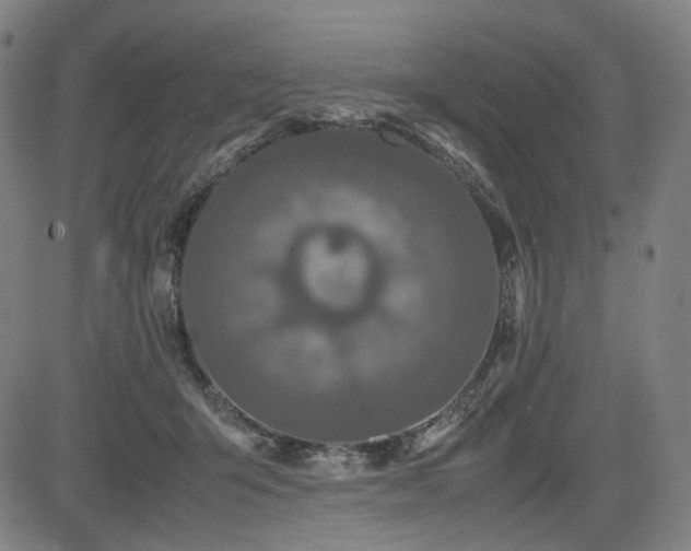 X0000085270415200703091357