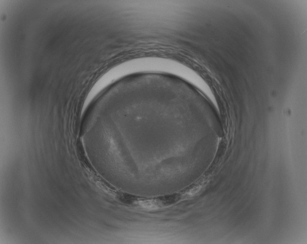 X0000085270417200703091357