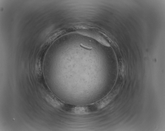 X0000085270418200703091357