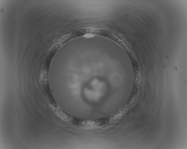 X0000085270419200703091357