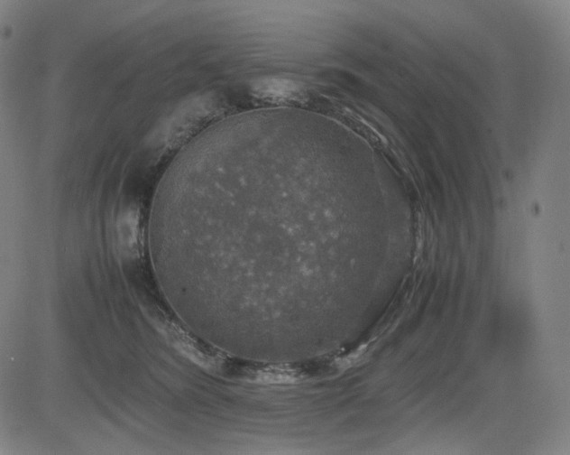 X0000085270420200703091357