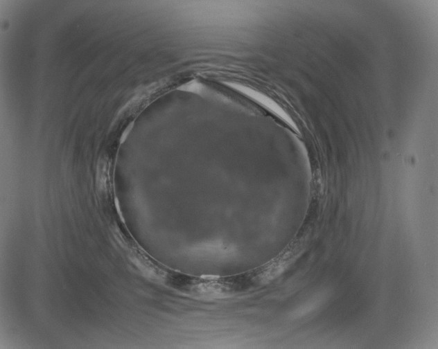 X0000085270423200703091357