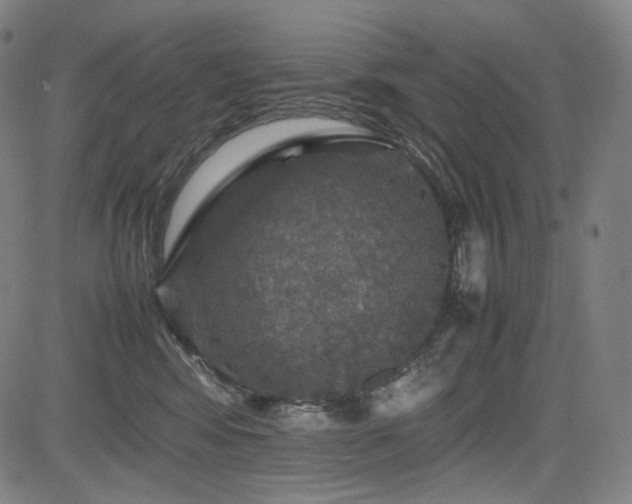 X0000085270424200703091357