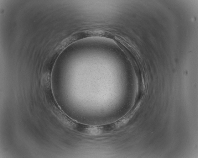 X0000085270425200703091357