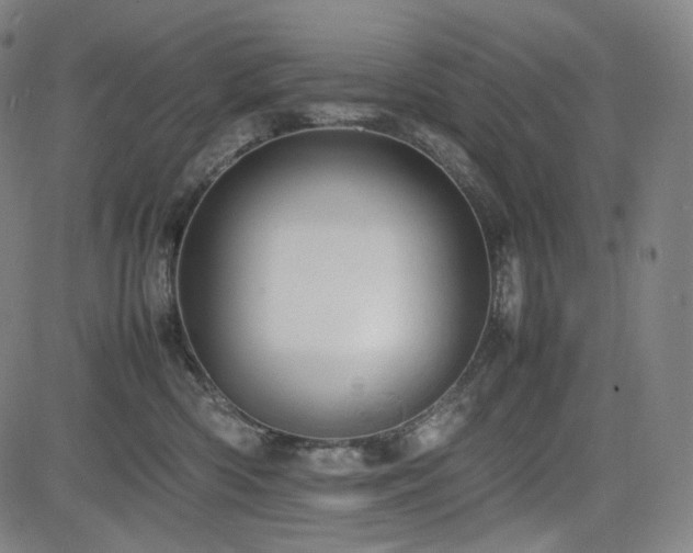 X0000085270426200703091357