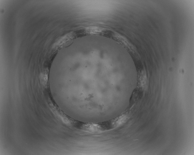 X0000085270427200703091357