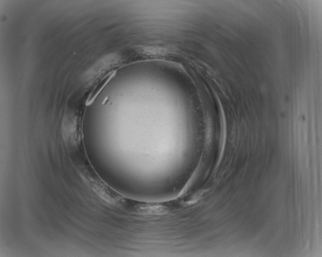 X0000085270428200703091357