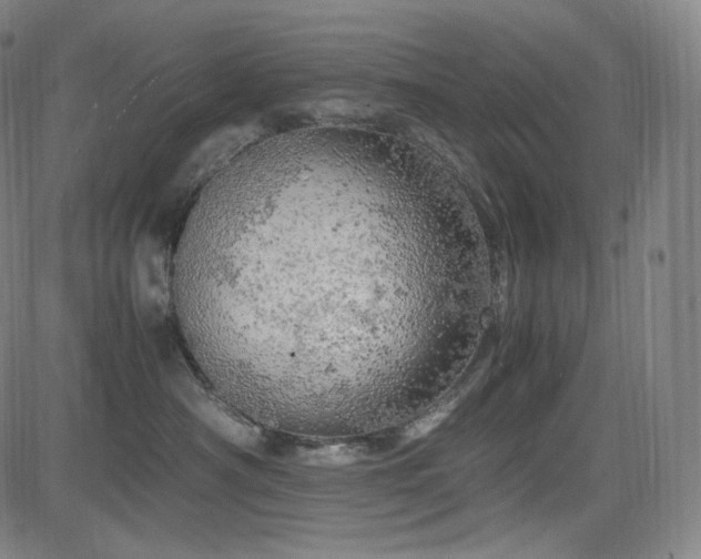 X0000085270430200703091356