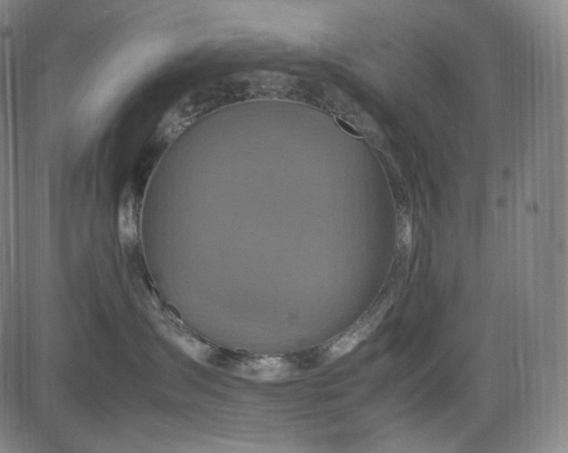 X0000085270431200703091356