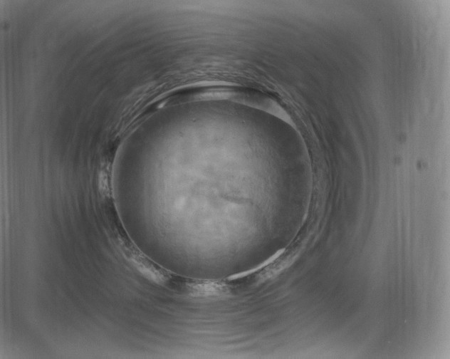 X0000085270432200703091356