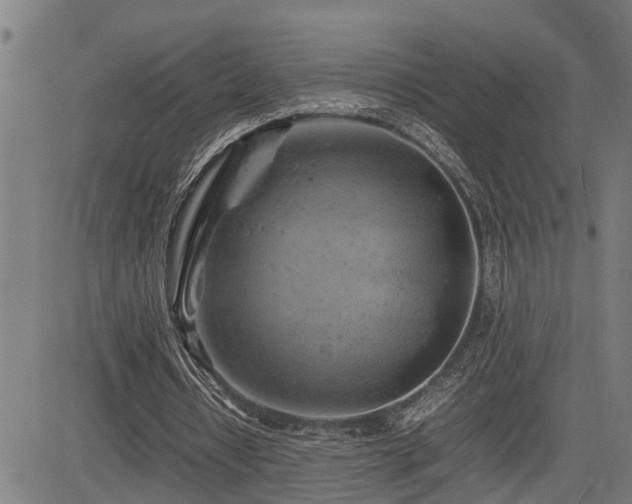 X0000085270434200703091356