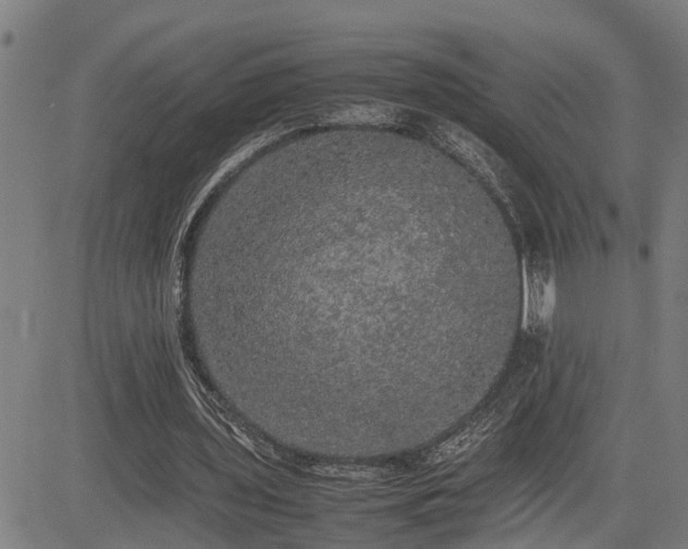 X0000085270435200703091356