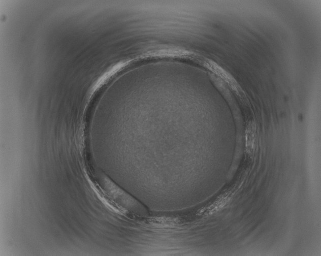 X0000085270436200703091356