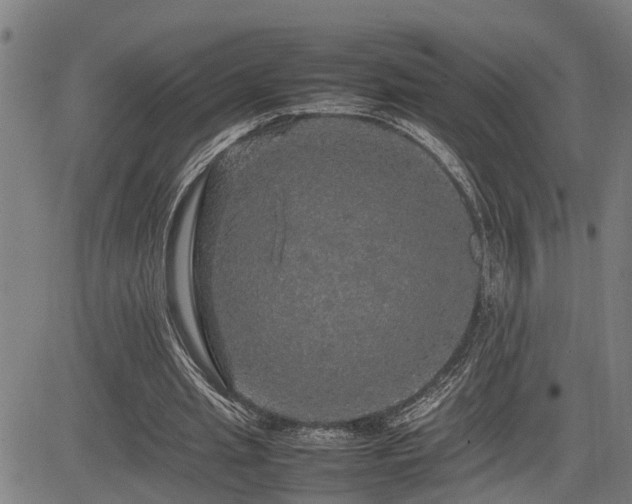 X0000085270437200703091356