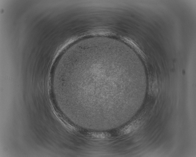 X0000085270439200703091356