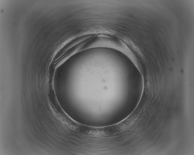 X0000085270440200703091356