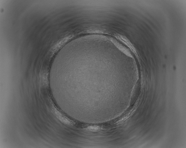 X0000085270441200703091356