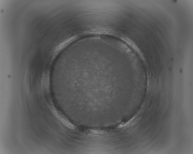 X0000085270442200703091356