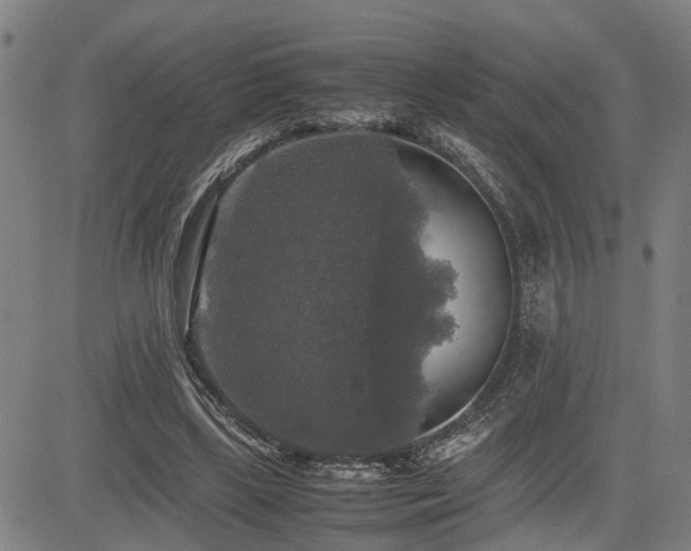 X0000085270443200703091356