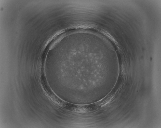 X0000085270444200703091356