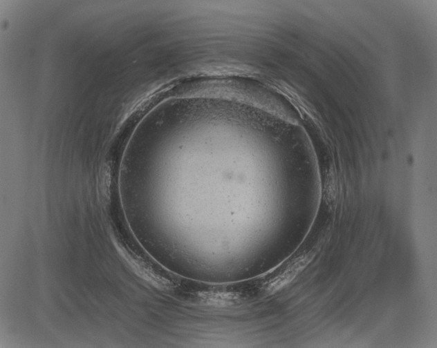 X0000085270448200703091356