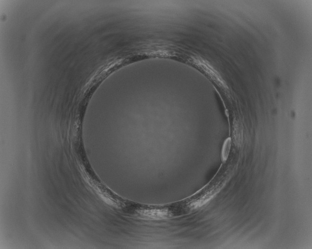 X0000085270449200703091356