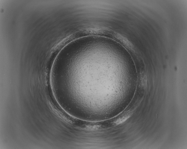 X0000085270450200703091356