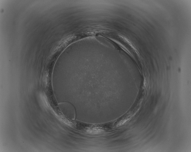 X0000085270451200703091356