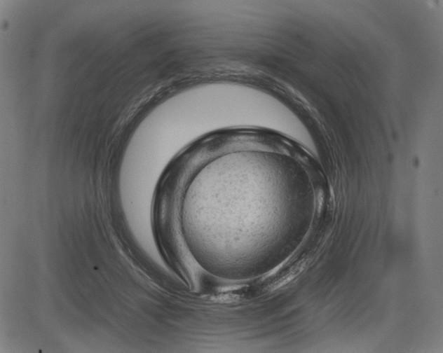 X0000085270452200703091356