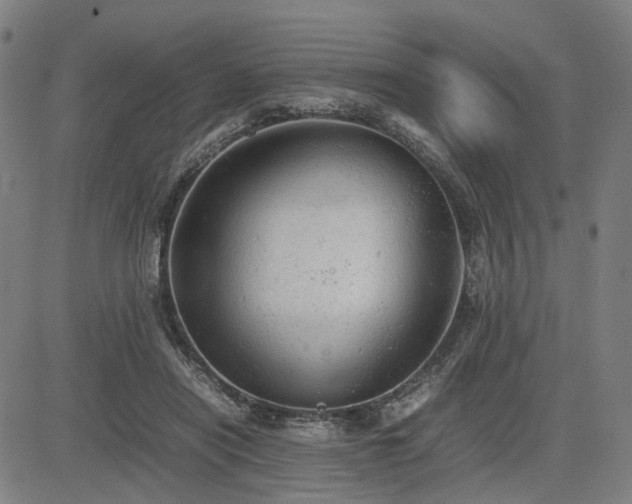 X0000085270454200703091356