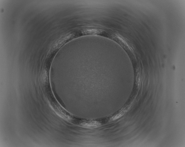 X0000085270459200703091356