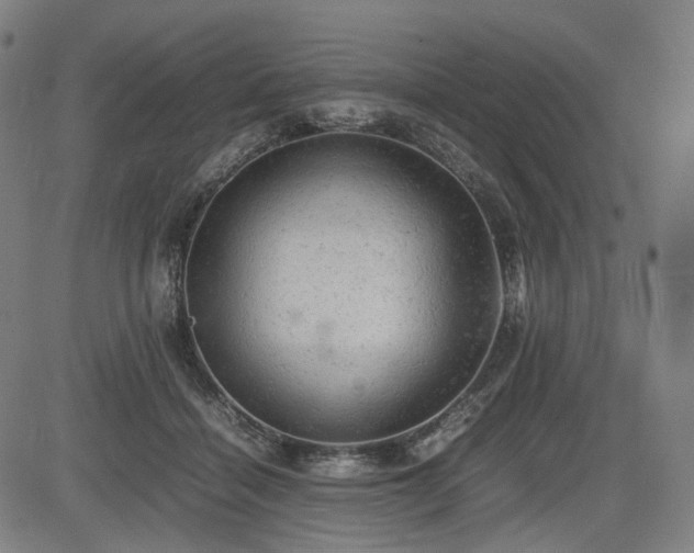 X0000085270460200703091356