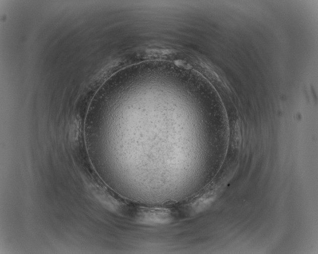 X0000085270463200703091356