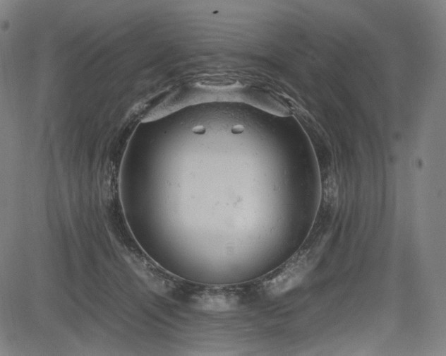 X0000085270464200703091356