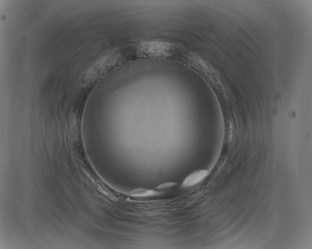 X0000085270465200703091356