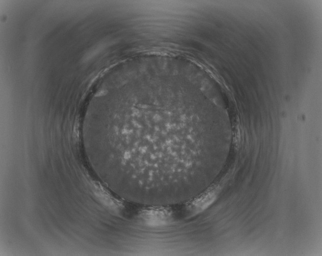 X0000085270466200703091356