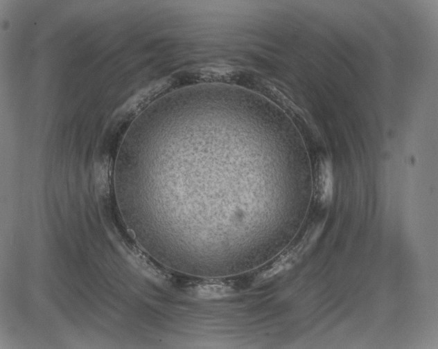 X0000085270468200703091356