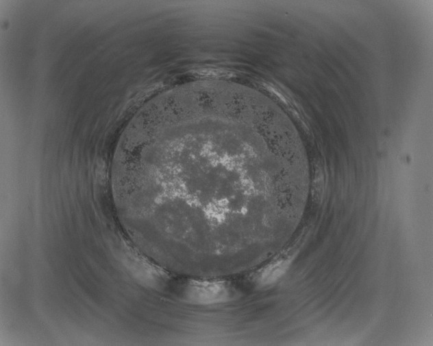 X0000085270469200703091356