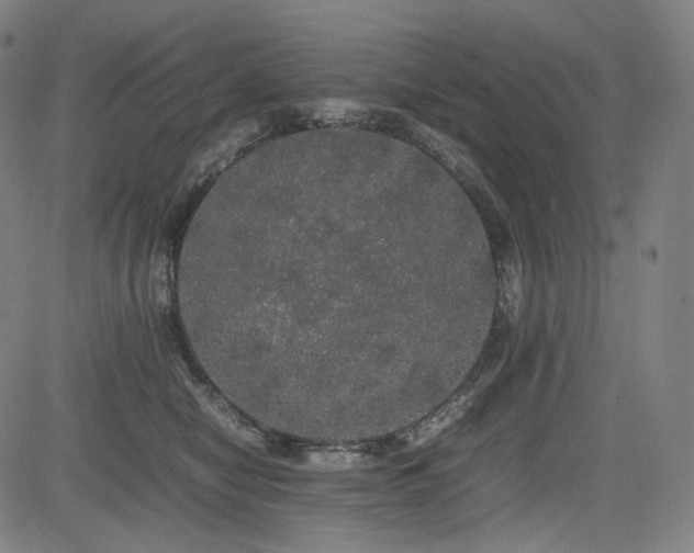 X0000085270470200703091356