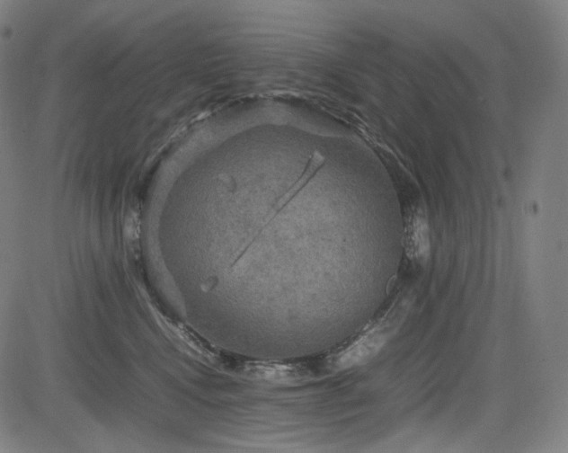 X0000085270472200703091356