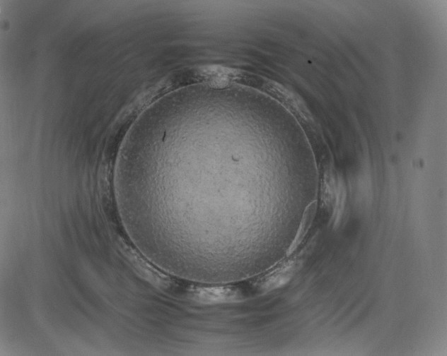 X0000085270473200703091356