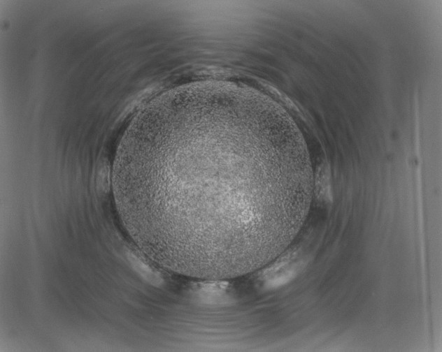 X0000085270474200703091356